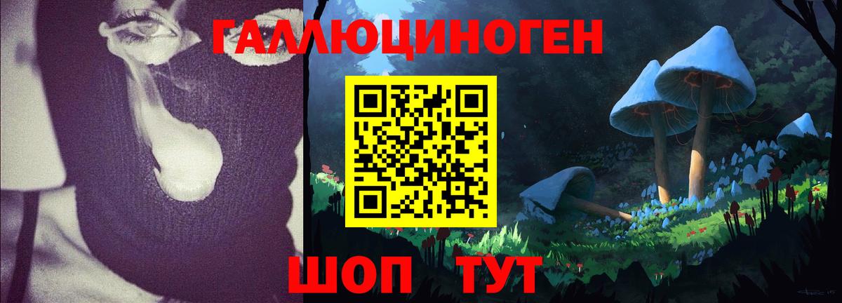 Галлюциногенные грибы Psilocybe Сосновоборск